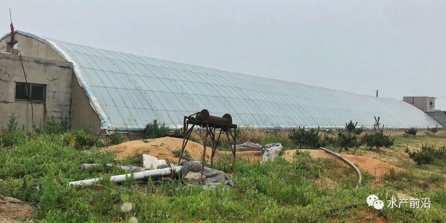 出蝦27斤/立方,連續(xù)三造成功后,工廠(chǎng)化養(yǎng)蝦在他看來(lái)并不難! 出蝦27斤/立方,連續(xù)三造成功后,工廠(chǎng)化養(yǎng)蝦在他看來(lái)并不難!